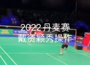 开云sport-包含泰国队逆转丹麦队，戴资颖刷新纪录的词条