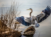 开云sport-神明退位之夜，当帕尔默撕碎所有争议