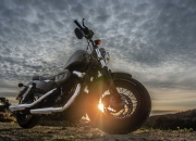 开云-冰川与钢铁，当加拿大单节摧毁委内瑞拉，若日尼奥在抢七中雕刻胜利