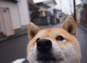 开云APP-在黑海的迷雾中，法比尼奥如何成为乌克兰对阵伊朗的战术罗盘？