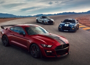 开云体育中国-烈焰燃冬，加克波个人英雄主义与阿尔及利亚战术铁壁的双重奏