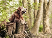 开云体育APP下载-欧冠淘汰赛之夜，孙兴慜全程高能输出，一柄沉默的亚洲利刃