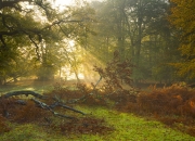 开云sport-当棋盘上的小卒撕碎方程式，哈利伯顿，F1街道赛之夜的胜负手