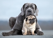 开云APP-七尺刺客刺破雷霆！文班亚马关键封盖导演绿军爆冷，新生代崛起之战