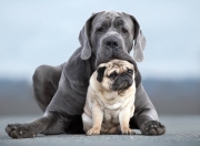 开云APP-七尺刺客刺破雷霆！文班亚马关键封盖导演绿军爆冷，新生代崛起之战