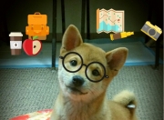 开云体育中国-足球场上，有一种伟大，叫对手绝望，当弗拉霍维奇的无解成为比利时的梦魇