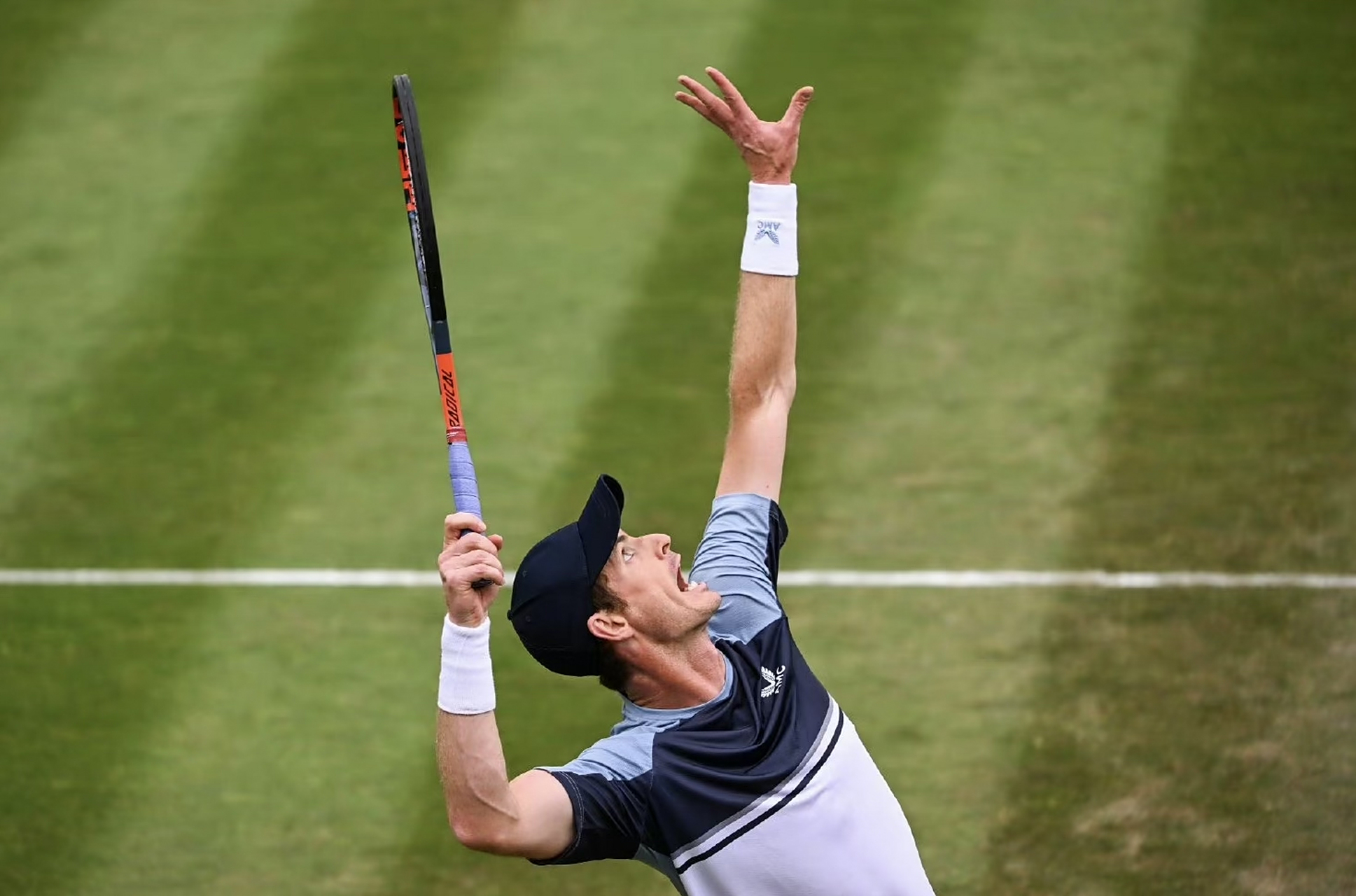 包含法网险胜ATP总决赛,穆雷惊艳四座的词条 包含法网险胜ATP总决赛,穆雷惊艳四座的词条