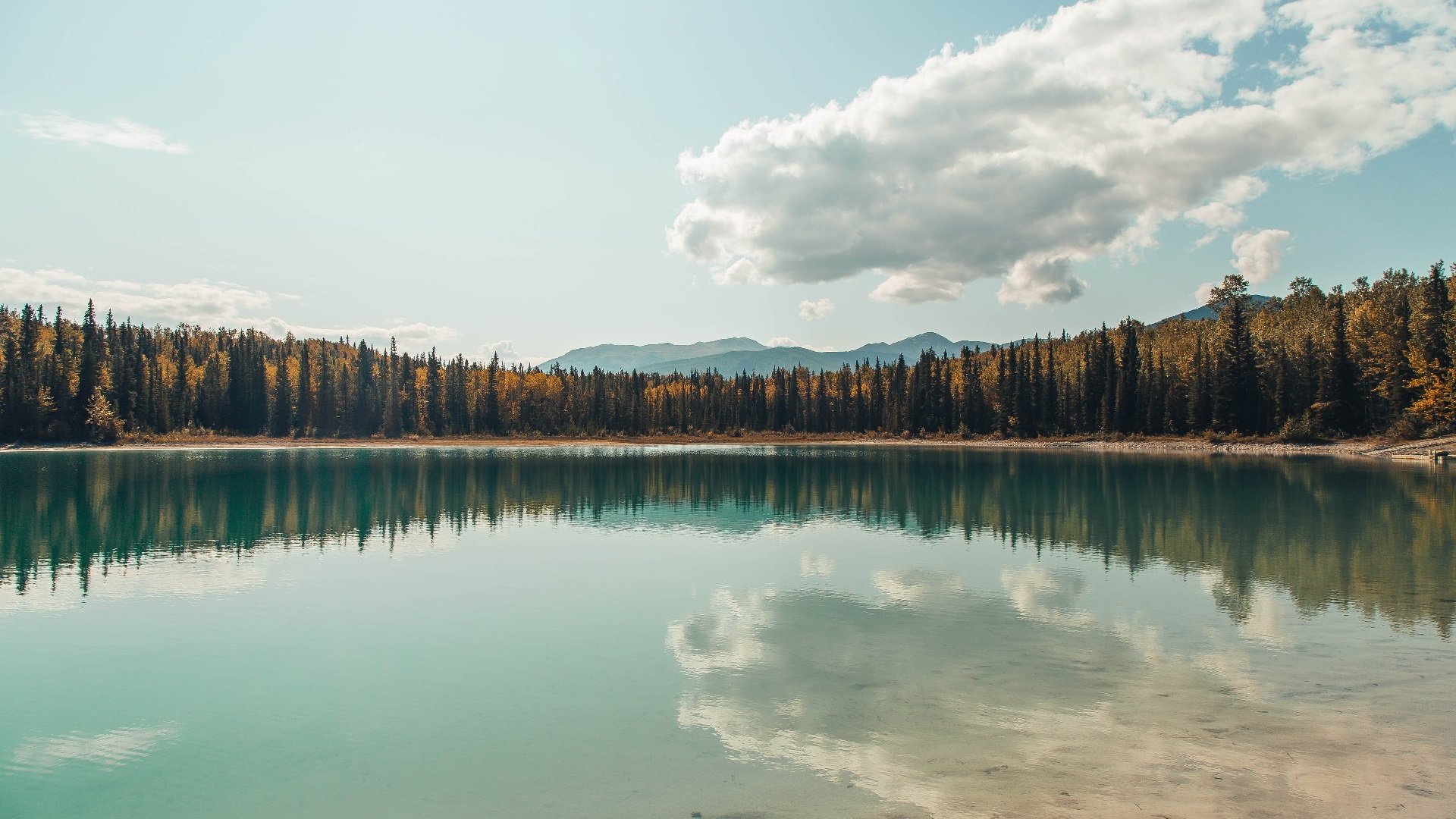 极夜之光,当拉亚的指尖划破巴黎的夜空
