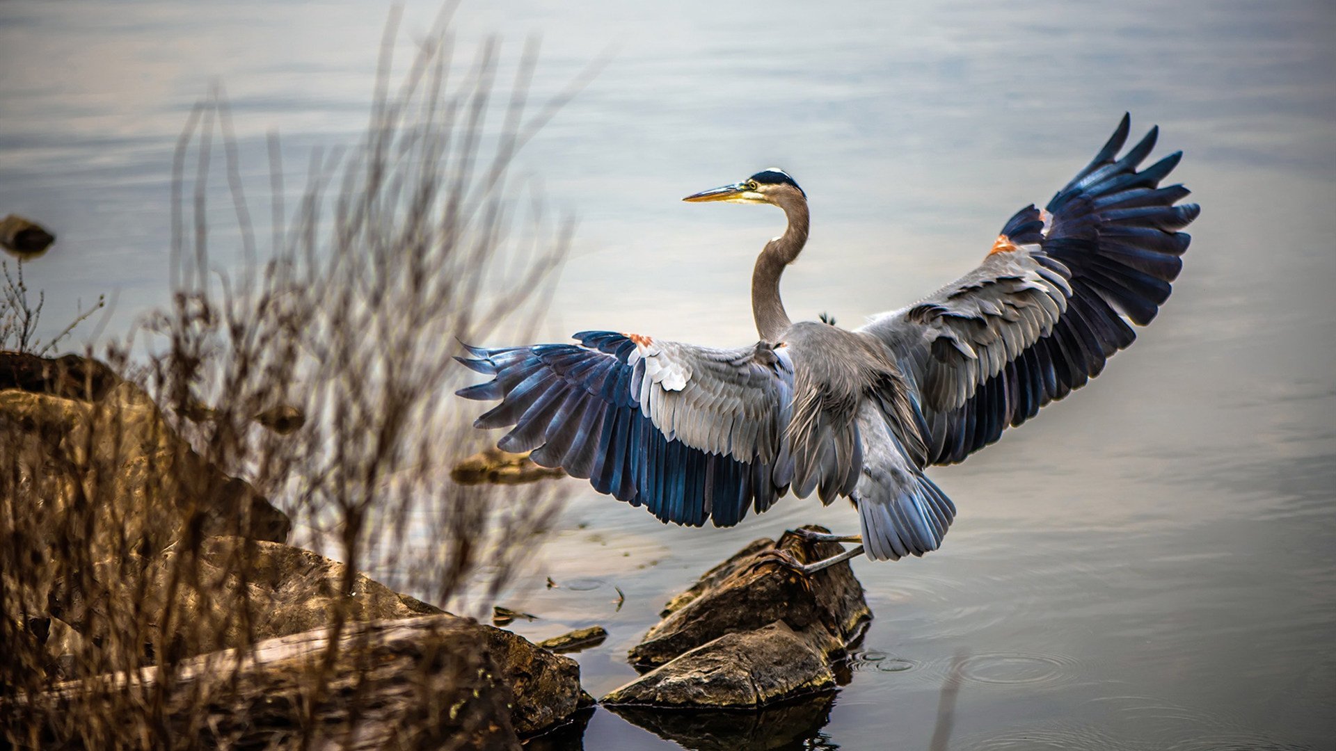 神明退位之夜,当帕尔默撕碎所有争议
