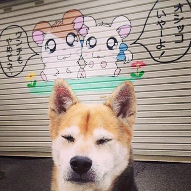 欧冠淘汰赛之夜,当福克斯弧线划过天际,平凡之躯筑就永恒传奇