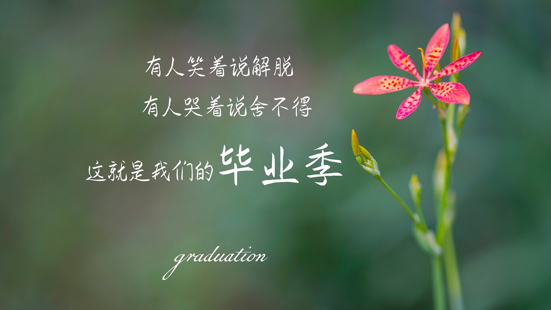 用F1的攻防转换奇才战术，能压制高位逼抢的上海队吗？