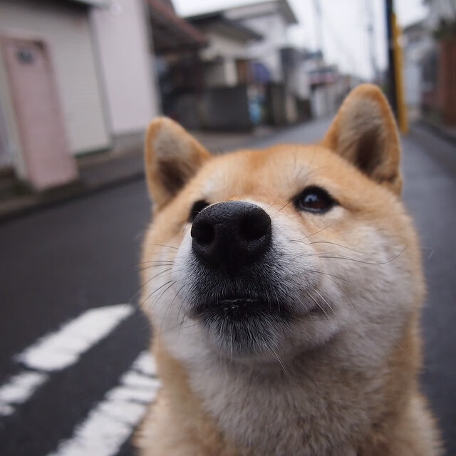 在黑海的迷雾中，法比尼奥如何成为乌克兰对阵伊朗的战术罗盘？