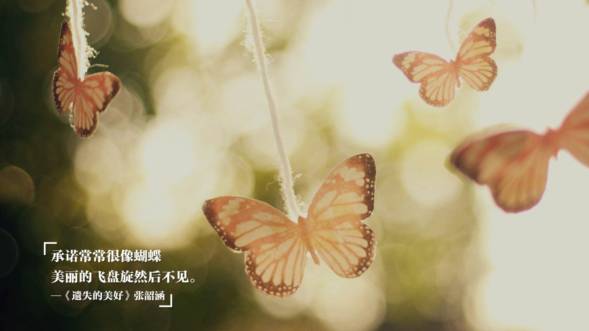 绝境之鹰,贝恩从隐形人到绝杀英雄的三百天炼狱之路