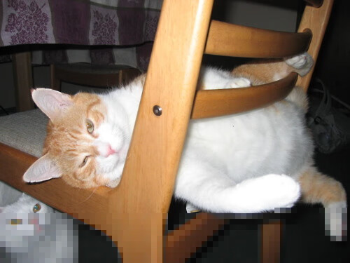 当建筑美学遭遇爵士乐章，福克斯拆解广厦的防守方程式