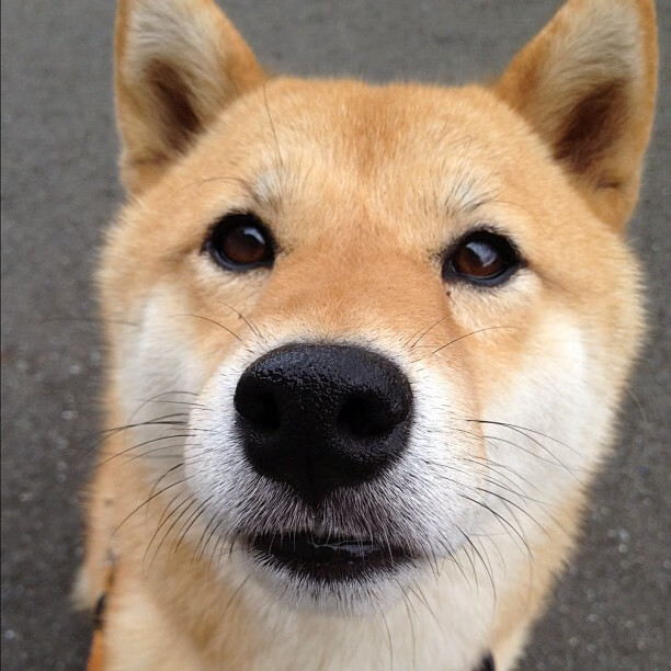 武切维奇指尖流转的协奏曲，开拓者以节奏为刃击穿广厦