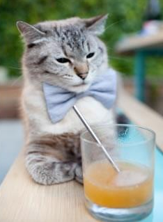 死亡抢断+魔鬼罚球！新疆铁血终结深圳，米切尔扼杀11.8秒奇迹