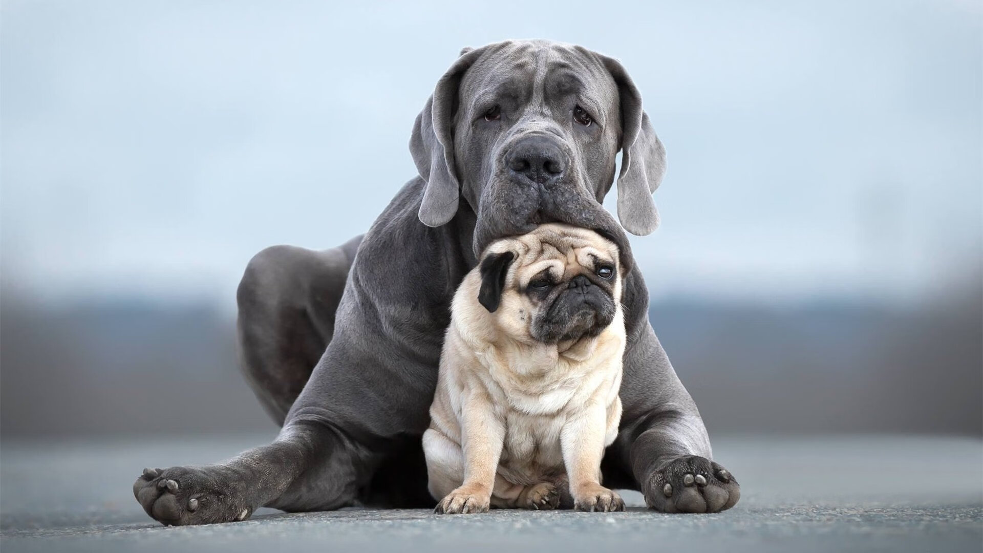 七尺刺客刺破雷霆!文班亚马关键封盖导演绿军爆冷,新生代崛起之战