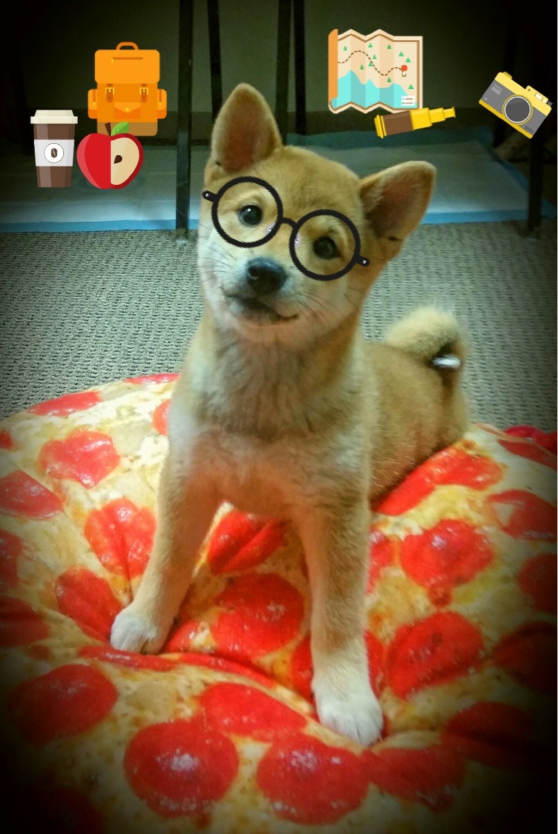 足球场上，有一种伟大，叫对手绝望，当弗拉霍维奇的无解成为比利时的梦魇