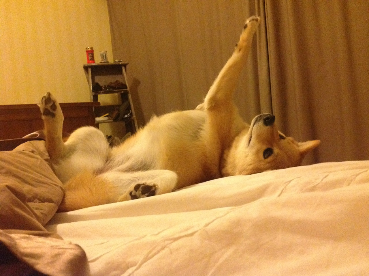 绿茵场上的西决风云，尤文图斯如何以篮球战术横扫爱尔兰之魂