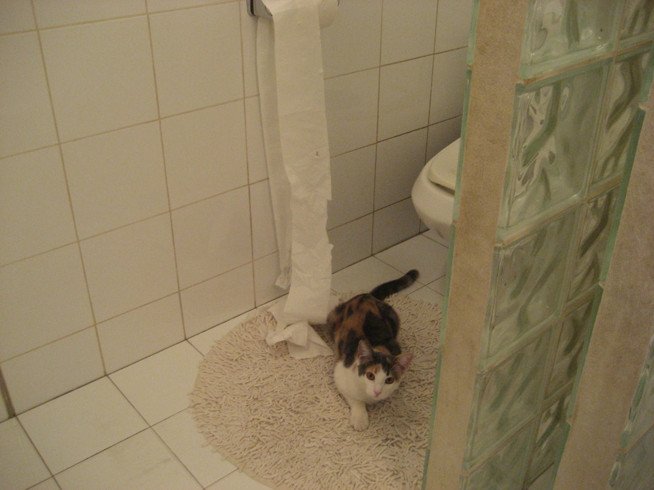 巨星闪耀与绝杀交响，当字母哥统治球场，火箭上演终极逆袭