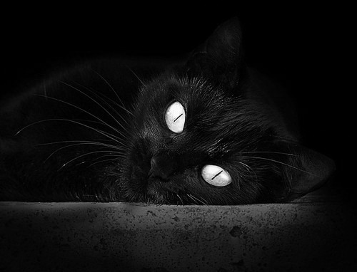 文班亚马的奇幻秀,魔术师如何拆解步行者铁阵