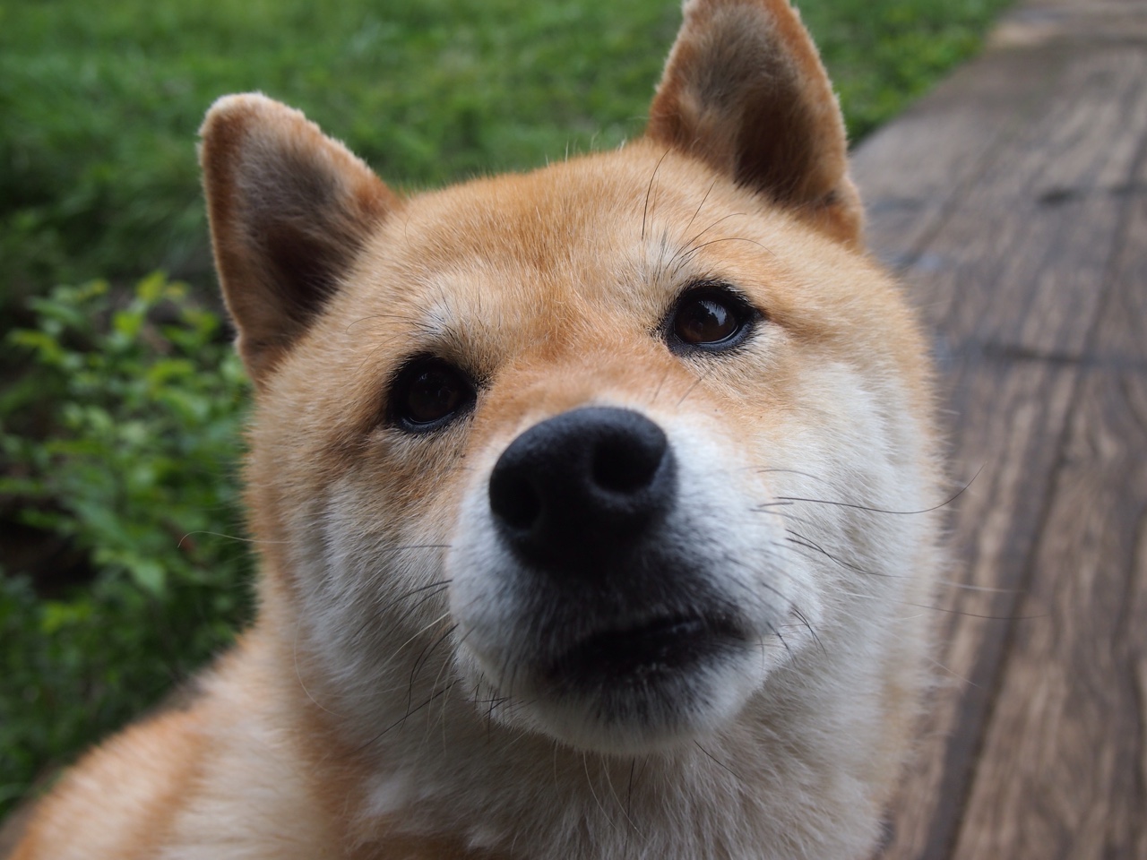 德布劳内终场绝杀,曼城惊险击败克罗地亚